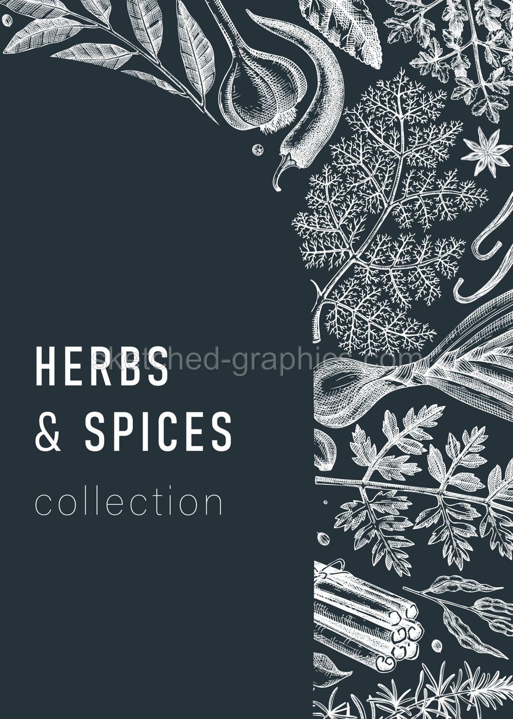 Hand-drawn herbs and spices vector card on chalkboard. Hand-sketched food illustration. Aromatic plant drawings. Kitchen herbs and spice frame template in sketched style for packaging, menu, banners Illustration